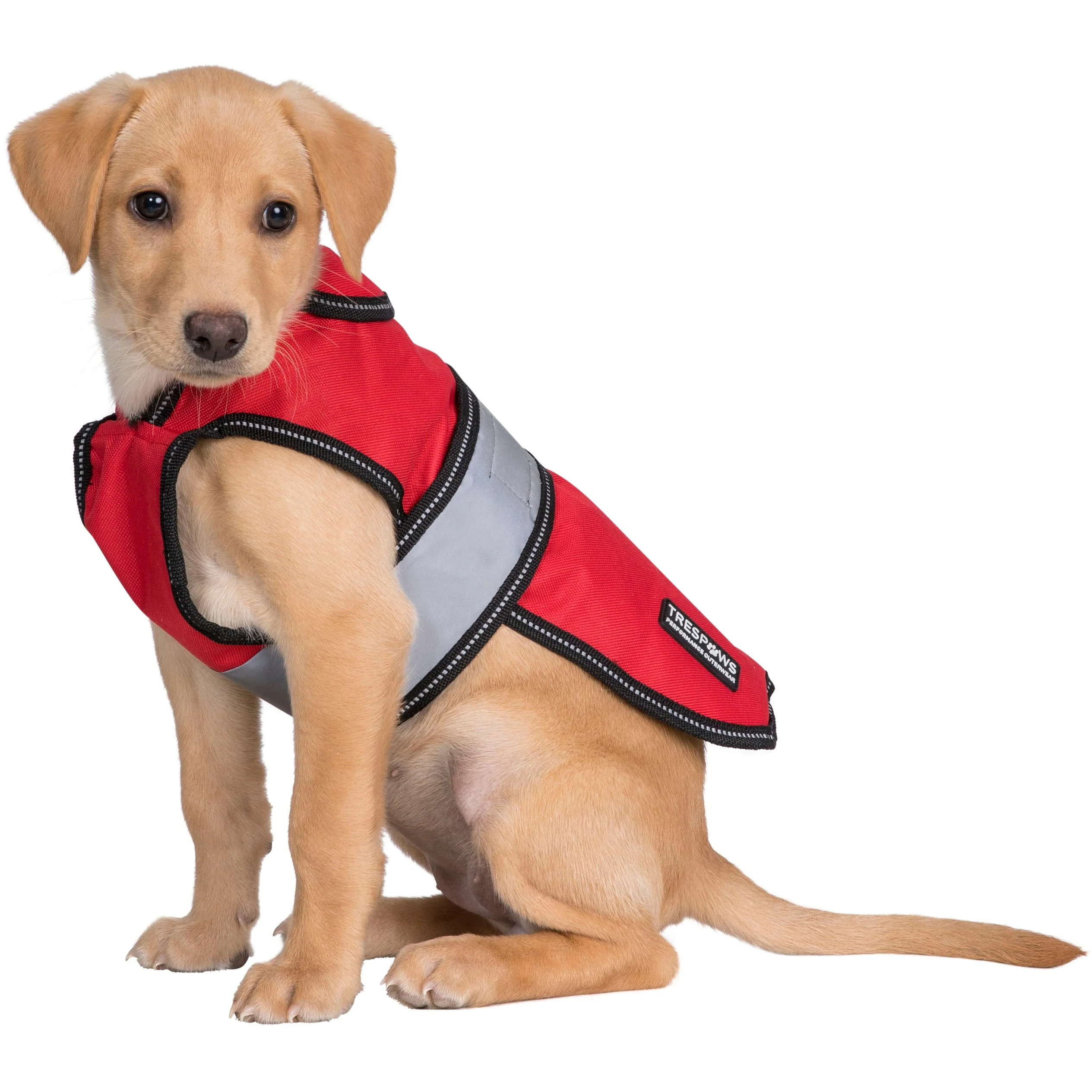 Duke-X  2 In 1 Waterproof Dog Jacket With Inner Fleece - Image 12