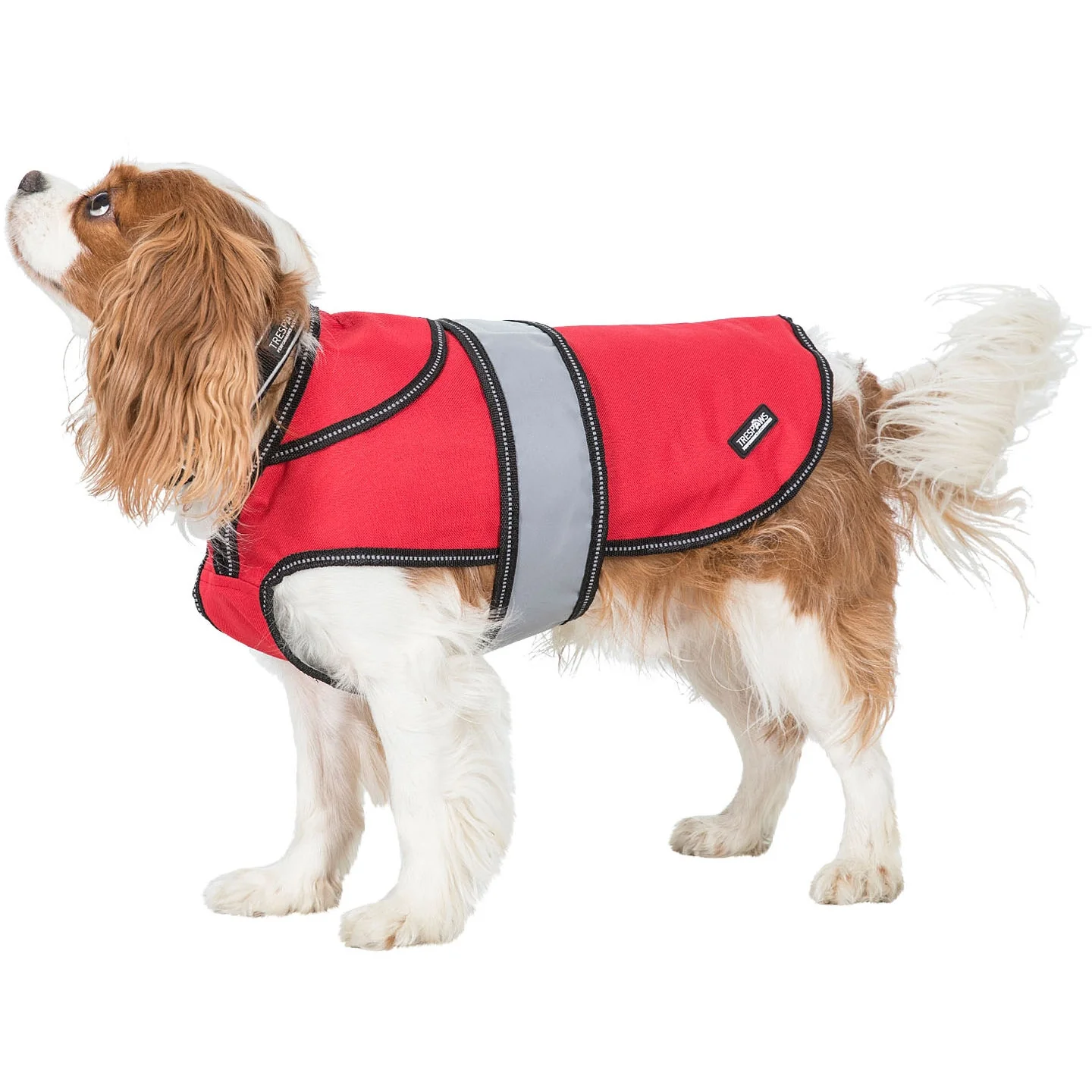 Duke-X  2 In 1 Waterproof Dog Jacket With Inner Fleece - Image 18