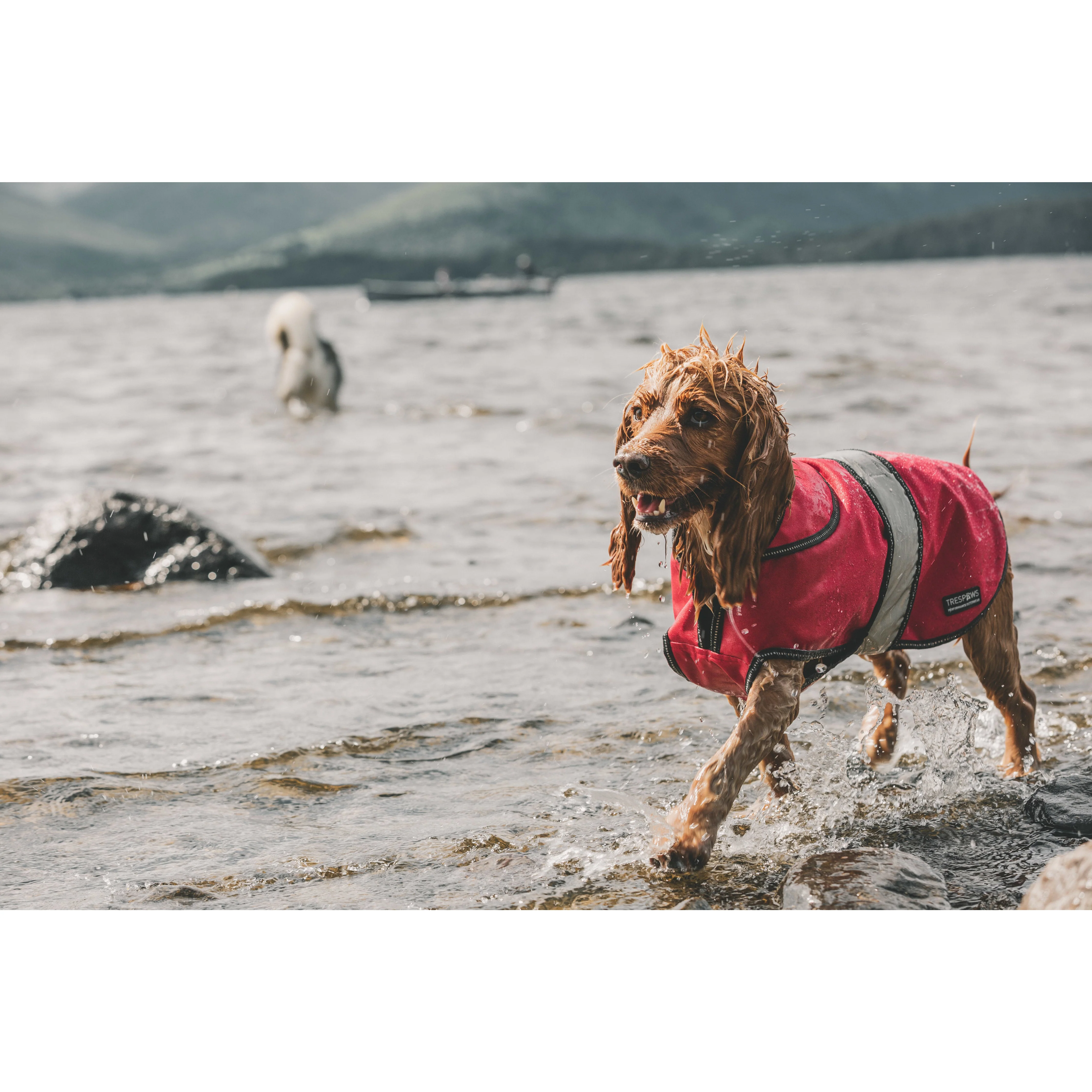 Duke-X  2 In 1 Waterproof Dog Jacket With Inner Fleece - Image 21